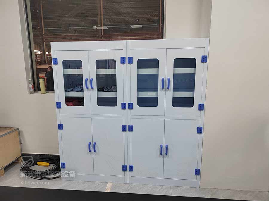 贵港市实验室PP药品柜厂家